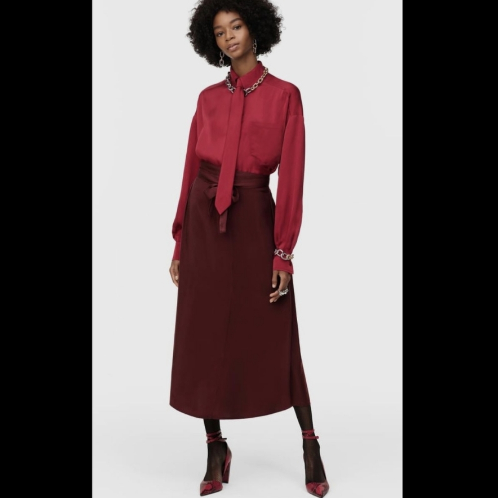 BNWT! Zara Limited edition Contrasting dress